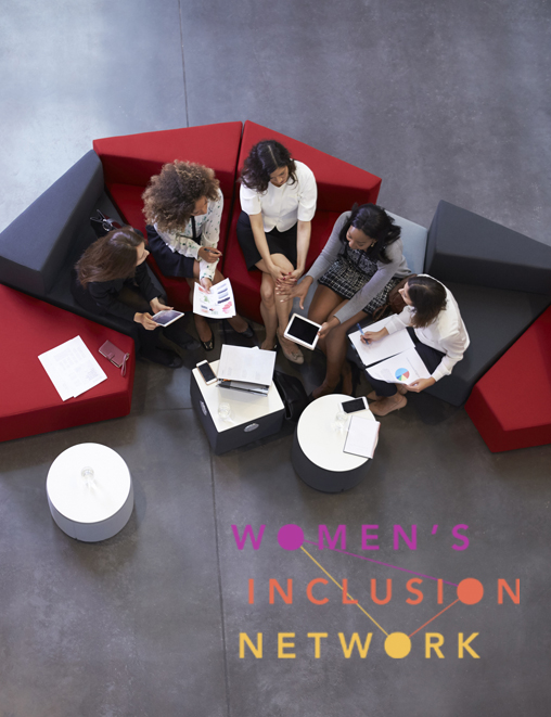Women's Inclusion Network image