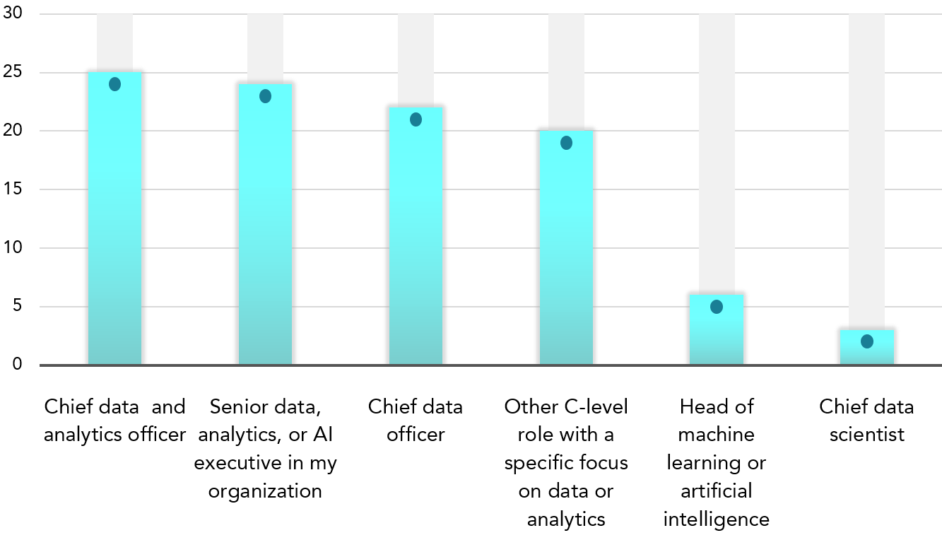 2021 Europe and US DAAI Executive Organization and Compensation Survey