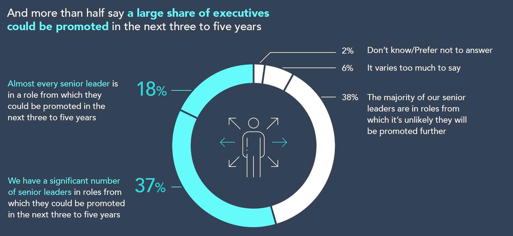 Piechart of executives chart 2