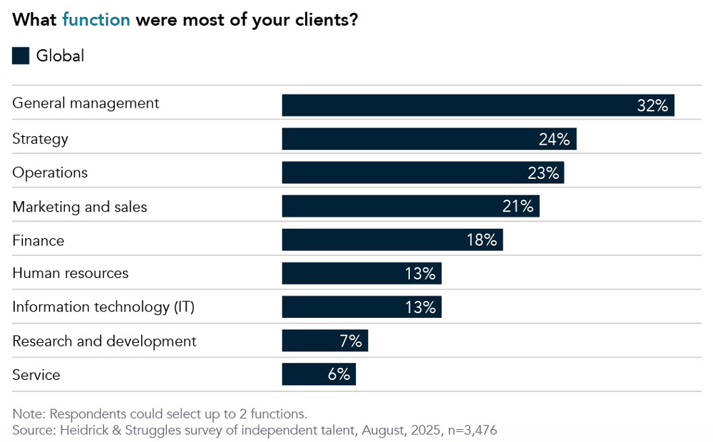 Chart displaying what functions interim talent serves for the client.
