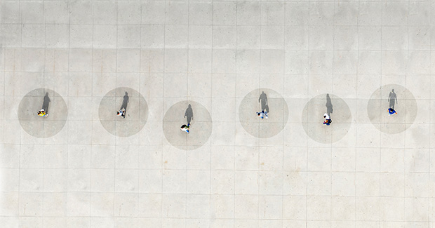 Board Monitor 2025: Interactive data dashboard